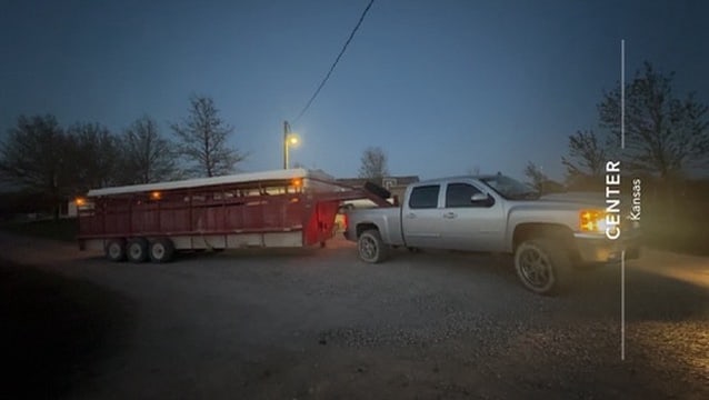 Pickup towing a livestock trailer in a supplied photograph